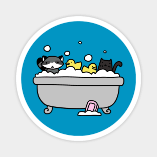 Raccoon and Black Cat Bath Magnet